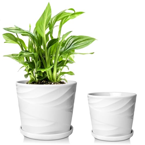 6.7 + 5.5 Inch Plant Pot, Ceramic Planter with Drainage and Saucer,Ceramic Pots for Plants, Indoor Plant pots,Succulent Orchid Flower Pot(White) - color: Pure White, size: 6.7 + 5.5 Inch-2 Pack