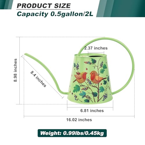 Berry&Bird 2L Long Spout Watering Can, Stainless Steel Water Can (Robin) | 2L stainless steel watering can, long narrow spout, elegant print, curved handle, leakproof, houseplant watering & decor - color: Robin
