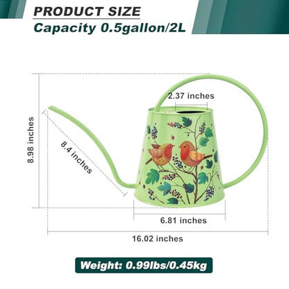 Berry&Bird 2L Long Spout Watering Can, Stainless Steel Water Can (Robin) | 2L stainless steel watering can, long narrow spout, elegant print, curved handle, leakproof, houseplant watering & decor - color: Robin