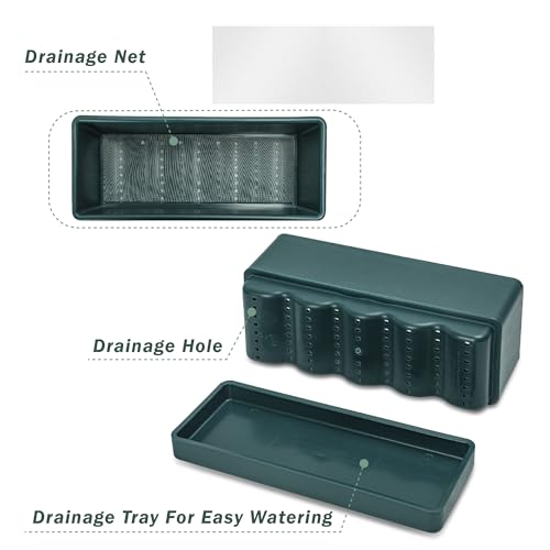 D'vine Dev Rectangular Planter, 12 x 4.5 in, Green, Set of 1, 76-X-C-1 | Minimalist Design, Large Planting Capacity, Drainage Holes & Saucer, Thick-Walled Durable Build, Ideal for Windowsills - color: Green