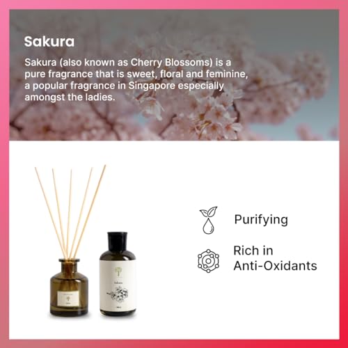 PRISTINE Sakura Diffuser Refill with Free Reed Stick | Cherry Blossom Flower Sakura Oil Diffuser & Reed Diffuser Sticks with Essential Oil Reed Diffuser Set | Home & Office | Calming Blend