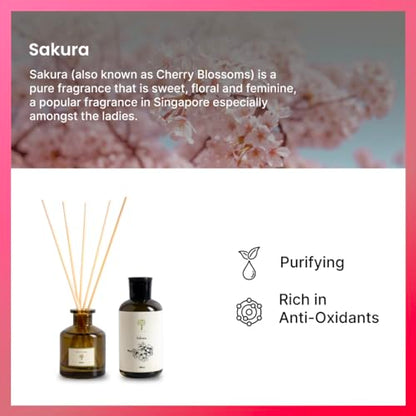 PRISTINE Sakura Diffuser Refill with Free Reed Stick | Cherry Blossom Flower Sakura Oil Diffuser & Reed Diffuser Sticks with Essential Oil Reed Diffuser Set | Home & Office | Calming Blend