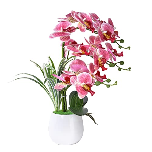 W&W Artificial Orchid Plants and Flowers with Vase, Fake Faux Orchid in Ceramic Pot,19”, Pink - color: Pink 01