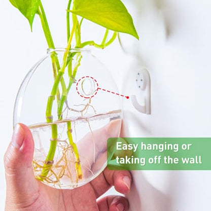 Vumdua 6 PCS Glass Wall Hanging Planters for Flowers, Hydroponics, Indoor Use, Medium, Transparent, Round, Classic Style