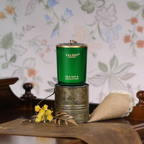 Jar Candles for Home Scented, Aromatherapy Candles Gifts for Women & Men, Natural Soy Candle, 8.4oz Traditional Style, Wild Mint & Eucalyptus - color: Wild Mint & Eucalyptus