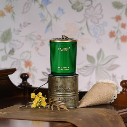 Jar Candles for Home Scented, Aromatherapy Candles Gifts for Women & Men, Natural Soy Candle, 8.4oz Traditional Style, Wild Mint & Eucalyptus - color: Wild Mint & Eucalyptus