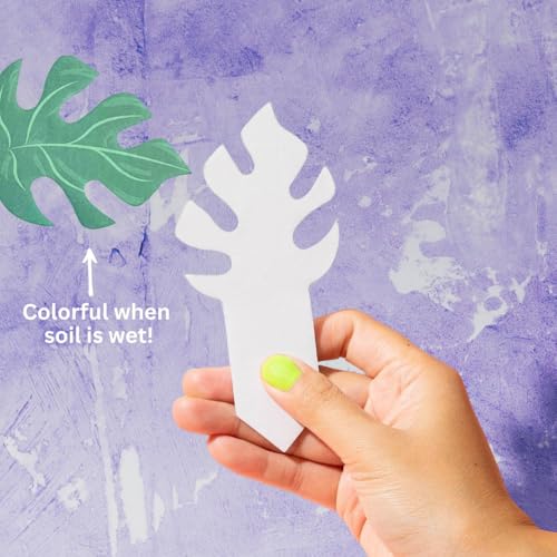 Paper-Based Soil Moisture Meter for Houseplants – Know When to Water, Prevent Overwatering – 5 Pack (PlantDoc Monstera) - style: Monstera PlantDoc - 5 Pack