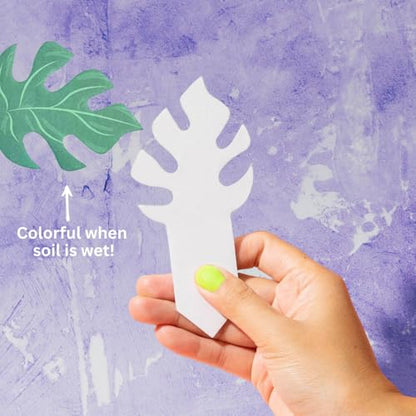 Paper-Based Soil Moisture Meter for Houseplants – Know When to Water, Prevent Overwatering – 5 Pack (PlantDoc Monstera) - style: Monstera PlantDoc - 5 Pack