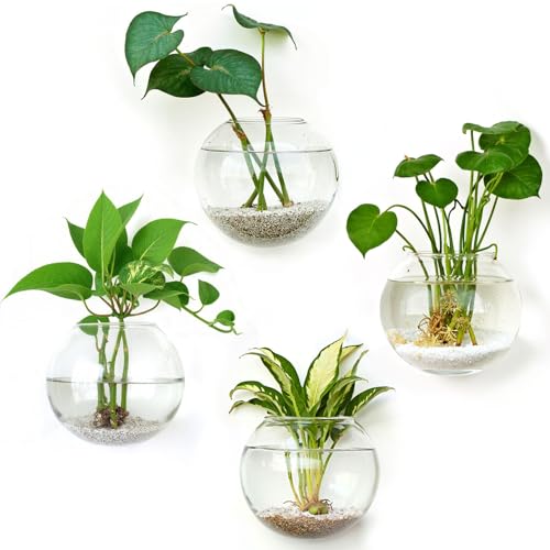 DomeStar Set of 4 Wall Vases, Wall Mounted Propagation Station | Hanging Glass Vases, Terrarium Station for Hydroponics, Plants Home Office Decor (5 Inch) - size: 4pcs