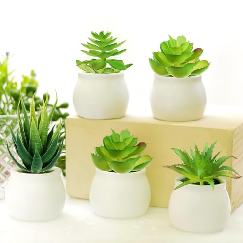 Fake Succulent Plants, 6pcs Mini Green Succulent Plants Faux, Artificial Succulents Plants for DIY Crafting Home Floral Wall Office Decoration (excluding pots)