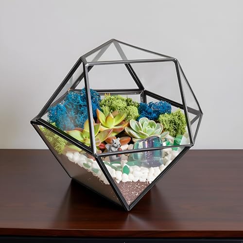 Creations by Nathalie DIY Geometric Glass Terrarium Kit with Moss & Tools | DIY geometric glass terrarium kit with moss, tools, and supplies for creating an indoor terrarium display with your plants. - color: 7” Geometric Dodecahedron