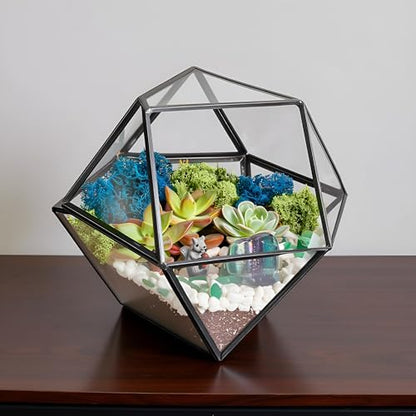 Creations by Nathalie DIY Geometric Glass Terrarium Kit with Moss & Tools | DIY geometric glass terrarium kit with moss, tools, and supplies for creating an indoor terrarium display with your plants. - color: 7” Geometric Dodecahedron