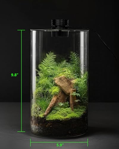 Desktop Glass Terrarium with Grow Light (9.8" H x 5.9" D) - for Succulents, Moss, Mini Gardens, Betta Fish Tanks, Mushroom Cultivation | Indoor Plant Growth | Office/Home Decor | Plant Lover Gifts - size: 9.8”