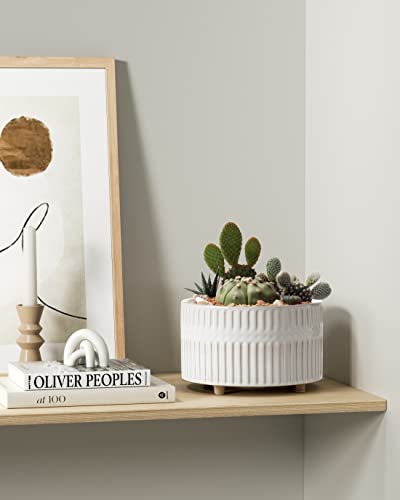 LE TAUCI Succulent Planters, 6.5+8 Inch Ceramic Indoor Plant Pot with Drainage Hole, Shallow Round Succulent Pots, Set of 2, Reactive Glaze White - color: Reactive Glaze White