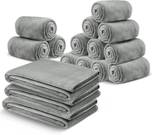 MOONLIGHT20015 Fleece Throw Blanket 16 Pack - Super Soft Cozy for Couch, Sofa and Camping Lightweight 400 GSM Luxury Fluffy Microfiber Bed Blankets 50 x 60 Inches (Throw/Travel, Silver) - color: Silver, size: Throw (Pack of 16)