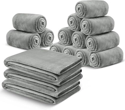 MOONLIGHT20015 Fleece Throw Blanket 16 Pack - Super Soft Cozy for Couch, Sofa and Camping Lightweight 400 GSM Luxury Fluffy Microfiber Bed Blankets 50 x 60 Inches (Throw/Travel, Silver) - color: Silver, size: Throw (Pack of 16)