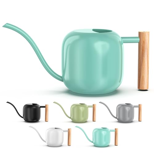 1.2L/41oz Metal Metal Watering Can with Long Spout, Mint Green | Metal Stainless Steel Watering Can for Indoor Plants, House Bonsai, Succulents, and Garden Flowers, Decorative Watering Cans - color: Mint Green