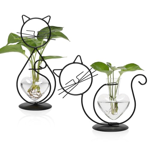 Plant Terrarium Propagation Station Gifts for Women Cat Lover | Plant Lovers Home Office Decor Cat Desk Accessories - color: Transparent-09