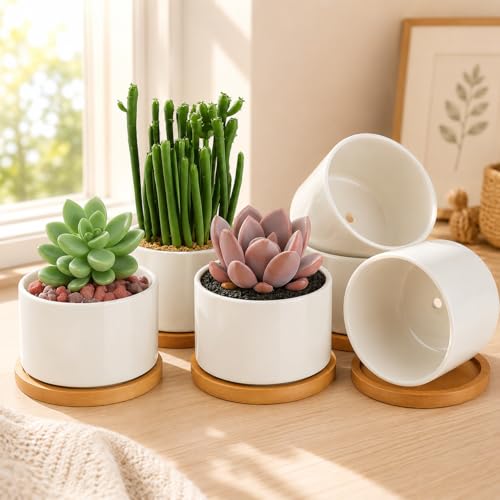ZOUTOG Ceramic Succulent Pots,3.6 Inch Plant Pots,Succulent Planters with Drainage Hole & Bamboo Tray for Indoor Plants,White Small Flower Planters for Home,Office,Desk(6 Pack) - size: 6 pack