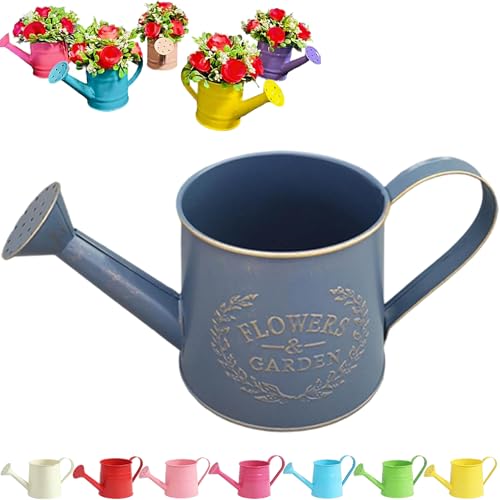 Tinplate Watering Kettle 1L, Mini Metal Watering Can with Long Spout and Handle, Vintage Flower Sprinkling Can for Indoor Plants, Patio and Garden Use (Retro Purple-D03) - color: Retro Purple-d03