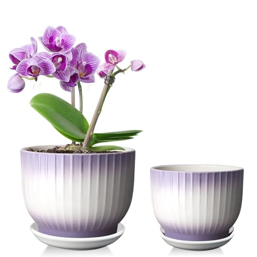 6.7 + 5.5 Inch Ceramic Plant Pots,Planters with Drainage and Saucer,Indoor Pots for Plants,Decorative Orchid Pots Set of 2（Purple + White） - color: Purple + White