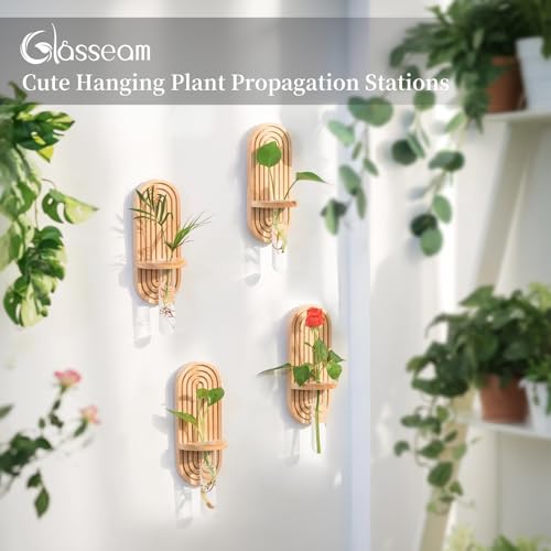 Glasseam Wall Plant Propagation Station: Hanging Glass Propagation Vases | Set of 3, Boho, Rustic Wooden Hydroponic Planter with Test Tube, Living Room, Entryway, Office, Indoor Pothos Cutting