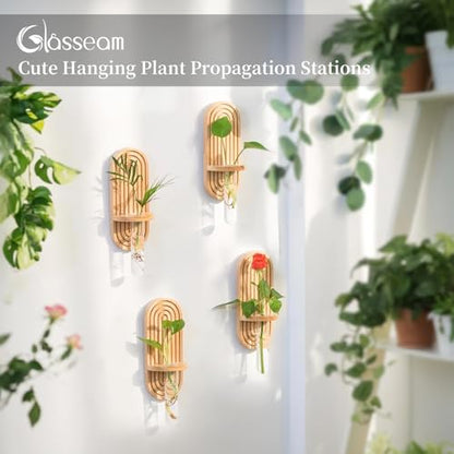 Glasseam Wall Plant Propagation Station: Hanging Glass Propagation Vases | Set of 3, Boho, Rustic Wooden Hydroponic Planter with Test Tube, Living Room, Entryway, Office, Indoor Pothos Cutting