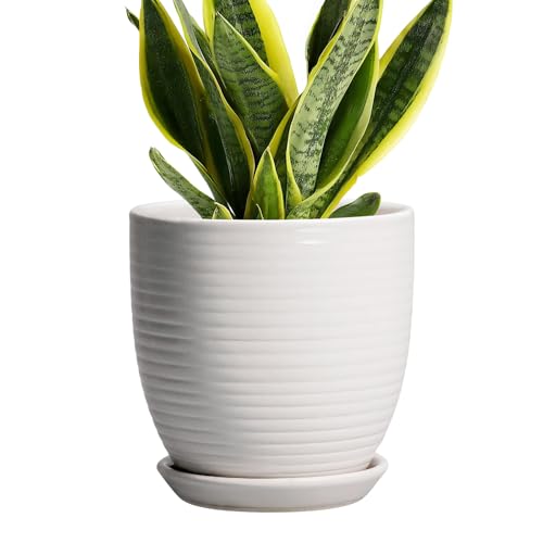 Ceramic Pots for Plants - 6 Inch Plant Pot with Drainage Hole and Saucer, Round Planters for Indoor Outdoor, Flower Pots, Modern Planter, Home Office Room Decor, Gifts for Plant Lovers, White - color: Matte White, size: 6 Inch