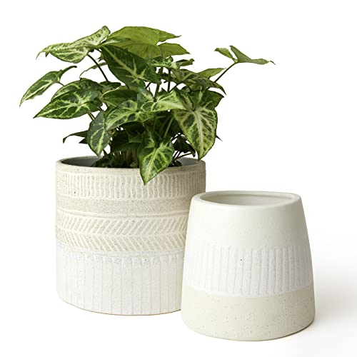 LA JOLIE MUSE Ceramic Plant Pots, Flower Pots for Indoor Plants, Set of 2 | 6.4+4.3 Inch Beige, Embossed Pattern Decorative Planter Pot with Drainage Hole for Indoor Plants, Living Room, Home Decor - color: Beige & White