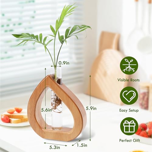 Glass Test Tube Terrarium Plant Propagation Station Holder | Wall Hanging for Indoor Water Plant Rooting, Wall Home Decor, Thoughtful Gardening Gift for Mom and Plant-Loving Women - size: 5.3*5.9IN