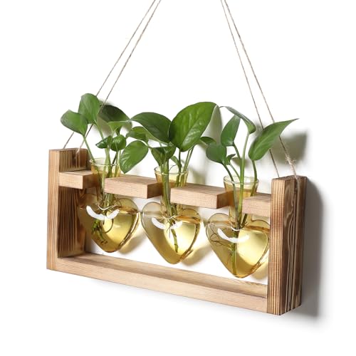 Plant Terrarium Propagation Stations Hydroponics | Home Garden Decoration Gift for Women with Wooden Stand Heart Shaped Colored Glass Vase - color: Gold