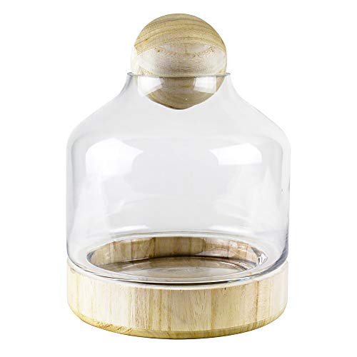 CYS EXCEL Glass Terrarium Container (H:10" W:7") | Multiple Size Choices Planter Jars with Wood Base & Lid | Plant Terrarium Bowl Vase