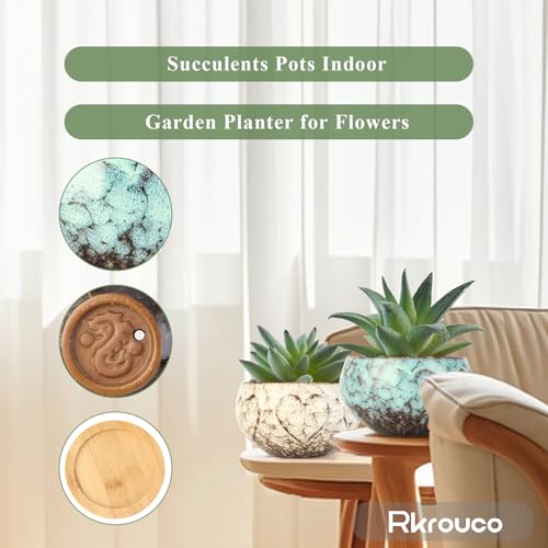 Ceramic Plants Pots 3 Inch Set of 4 Flower Pots with Drainage and Bamboo Tray for Indoor/Outdoor Small House Plants,Foliage Plant - style: Set 1