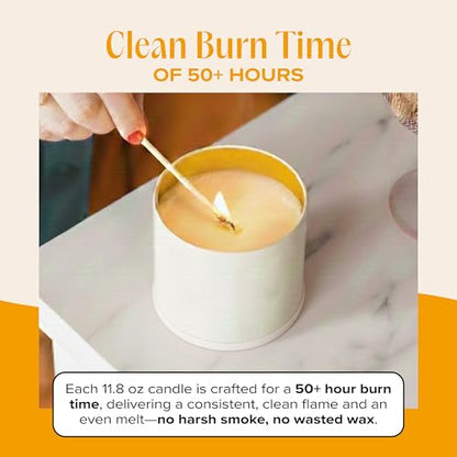 You Got This! Pet-Friendly Scented Candle – Tropical Nectar & Fruits Fragrance - Coconut Soy Wax Candle with Wooden Wick, Approx. 50-Hour Burn Time, Made in USA, 11.8 oz - color: You Got This!