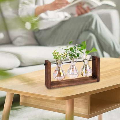Propagation Stations Iridescent Plant Propagation Station, 3Pcs Gradient Bulb Vase with Wooden Stand Tabletop Plant Terrarium for Hydroponics Home Office Garden Decor|Terrariums