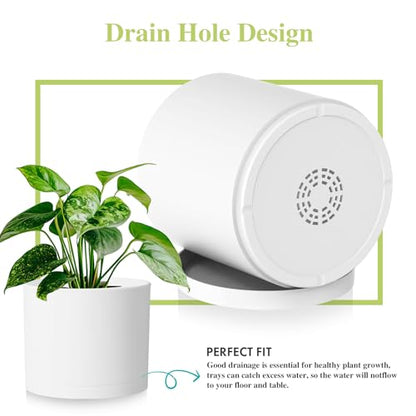 Large Plant Pots Set of 3 – 8", 9", 10" Indoor Flower Pots with Drainage Holes and Saucers, Big Planters for Monstera, Fiddle Leaf Fig, Snake Plant – 5 Colors - color: White