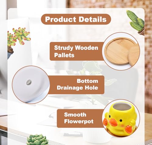 Photken 6 Pack Ceramic Succulent Pots with Drainage – Small Animal Planters with Bamboo Trays for Cactus & Indoor Plants, Mini Flower Pots for Desk, Home Decor, Office, Garden, Gift for Plant Lovers - style: Animals