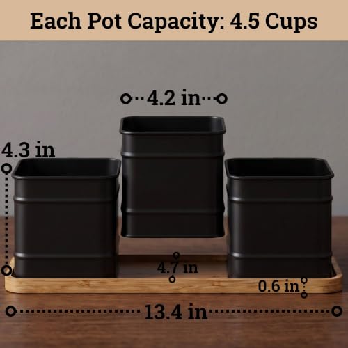 Herb Planter Indoor, 3-pc Herb Pots w/ Drainage Holes, Bamboo Tray & Labels | Iron Herb Pots, Varnished Bamboo Tray with Anti-Skid Base, Customizable Oval Sticker and Stick Labels & Chalkboard Marker Pen - color: Black