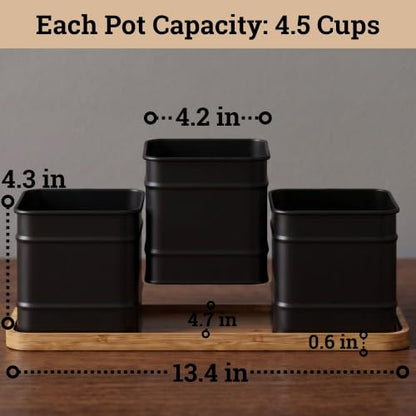 Herb Planter Indoor, 3-pc Herb Pots w/ Drainage Holes, Bamboo Tray & Labels | Iron Herb Pots, Varnished Bamboo Tray with Anti-Skid Base, Customizable Oval Sticker and Stick Labels & Chalkboard Marker Pen - color: Black