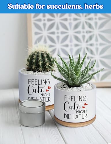 Funny Feeling Cute Might Die Later Ceramic Planter Pot for Succulent & Cactus, Unique Teacher Appreciation Gift, Birthday Gift for Plant Lovers, Decorative Plant Pot (Plant Not Included)