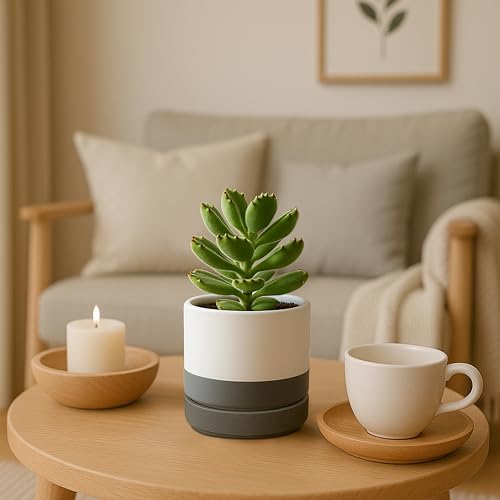 D'vine Dev 2-Pack Ceramic Pots with Saucers, White/Grey, 4.7 in, 94-V-B-6 | Modern Cylinder Design, Glazed Ceramic, Drainage Hole & Saucer Included, High Temperature Fired, Elegant Home Accent - color: White/Speckled Grey, size: 4.7 Inch