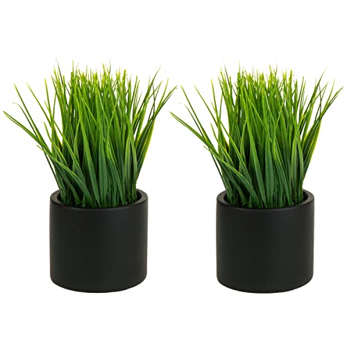MyGift Tabletop Artificial Grass Plants Decorative Faux Greenery Plant Potted in Modern Cylindrical Black Cement Pots, Set of 2 | Tabletop Decorative Faux Greenery Plant Potted Realistic Foliage Decorative Accent Indoor Outdoor Arrangement Office Décor -