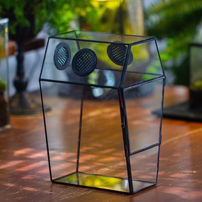 NCYP Gothic Glass Enclosure for Jumping Spider, Snails, Insects - Front Opening Door Geometric Terrarium with Vent Holes, Indoor Tabletop Coffin Shape Decor, Black (Terrarium Only)