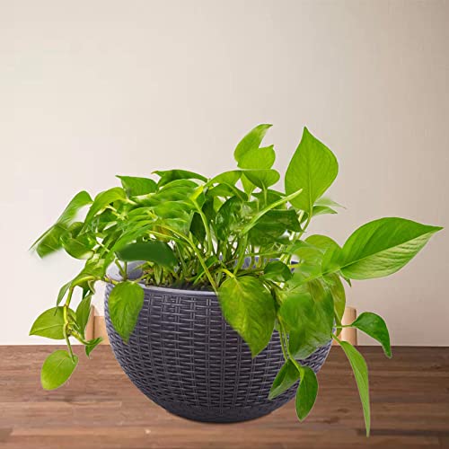 Vencer 11 Inch Round Resin Rattan Hanging Planters,Grey,VF-A15-G | Self Watering,Drain Hole,Metal Chain,Water Indicator,Indoor Outdoor - color: Gray