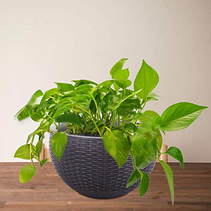 Vencer 11 Inch Round Resin Rattan Hanging Planters,Grey,VF-A15-G | Self Watering,Drain Hole,Metal Chain,Water Indicator,Indoor Outdoor - color: Gray