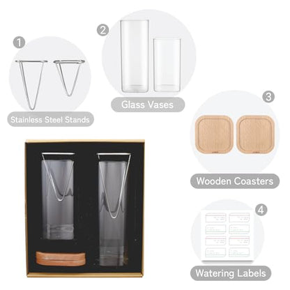 Avocado Seed Growing Kit, Set of 2 Glass Vases with Stainless Steel Holder & Wood Base, Avocado Growing Vase Hydroponic Propagation Starter Kit for Sprouting, Home Decor Plant Gift - No Seeds
