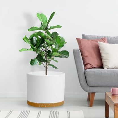 Large Plant Pots Set of 3 – 8", 9", 10" Indoor Flower Pots with Drainage Holes and Saucers, Big Planters for Monstera, Fiddle Leaf Fig, Snake Plant – 5 Colors - color: White With Brown Base