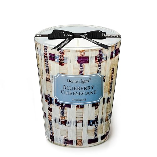 HomeLights Scented Candles for Women & Men, 6.7oz Candle Jars Aromatherapy Single Wick Candle, Ideal for Rustic Modern Home Decor and Gifts, Blueberry Cheesecake - color: Blueberry Cheesecake