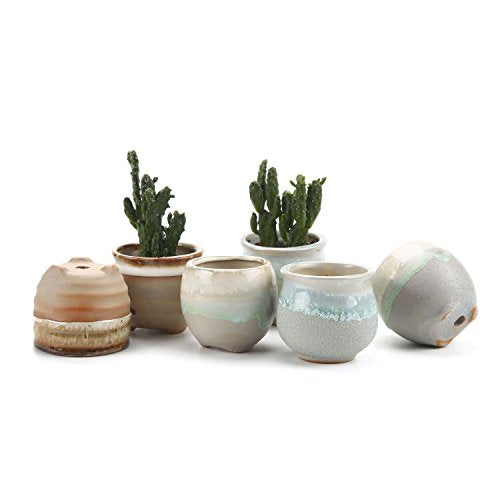 T4U Small Ceramic Succulent Pots with Drainage Set of 6, Mini for Plants, Tiny Porcelain Planter, Air Plant Flower Cactus Faux Plants Containers, Modern Decor Home and Office
