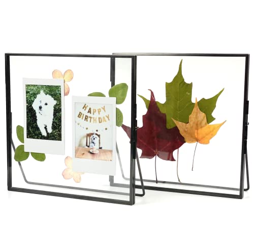 Beedecor Double Glass Frame for Pressed Flowers, Leaf and Artwork - Black 6x6 Standing Square Metal Picture Frames, Tabletop Clear Floating Pressed Glass Frame, Home Decor Photo Display, Set of 2 Pressed Flower Frames with Stand (Black, 6x6) - color: Gunm